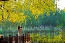 亚洲欧美日韩电影av-亚洲、欧美、日韩电影，文化差异与艺术碰撞的多元视角